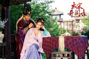 大宋奇闻录在线观看,穿越时空的传奇故事